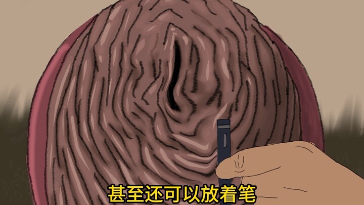 如果山里有臭味，那有可能是它