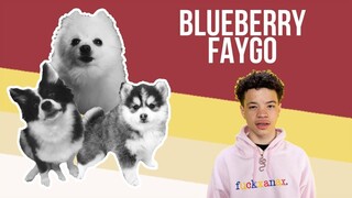 Blueberry Faygo but Dogs Sung It (Doggos and Gabe)