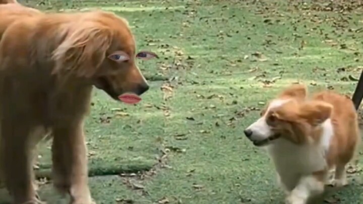 Dude, are you seriously putting this together so sloppily?