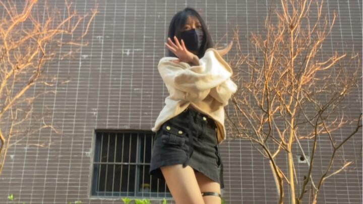 14岁浅翻《楼宇之间盛开的玫瑰》——在最好的年纪盛开/(^-^)