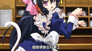 来和猫娘一起玩耍吧