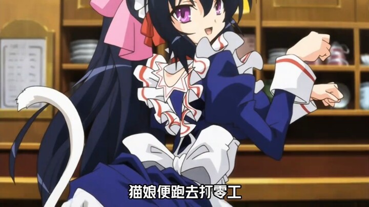 来和猫娘一起玩耍吧