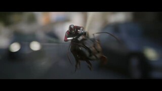 Ant-Man and the Wasp (2018)