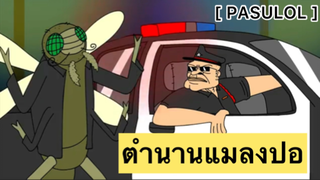 PASULOL : ตำนานแมลงปอ