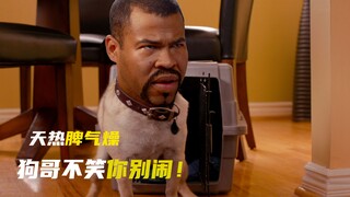 《Anh em da đen》: Trời nóng tính khí dễ bực, chó ca ca không cười thì đừng có quậy nữa!