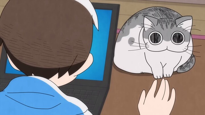 [Chinese and Japanese/1080P] A Night with Cats/Night Cat Song [04] [The Fourth Night]