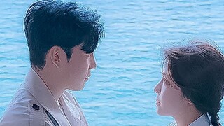 เมื่อมองย้อนกลับไปที่ภาพยนตร์อันแสนอบอุ่นหัวใจและเยียวยาจิตใจเรื่องนี้จากปี 2019 อีกครั้ง ฉันยังคงรู