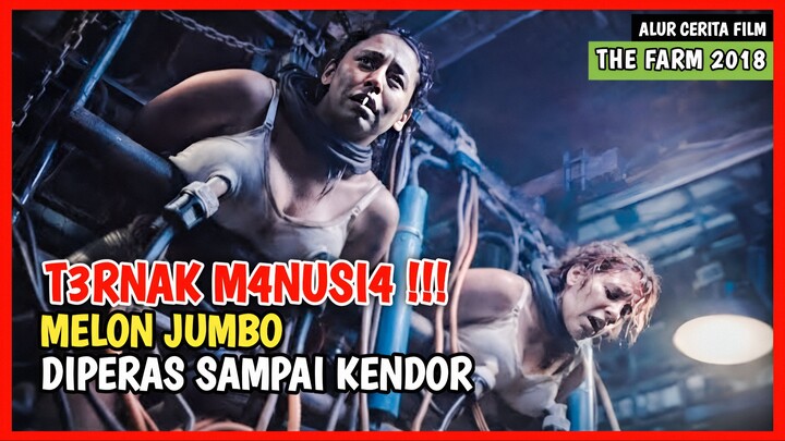 MANUSIA DIPELIHARA SEPERTI BINATANG !!! #alurceritafilm