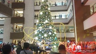 the Philippine Madrigal Singers |Christmas Tree Lighting @ Shangri-la Mall