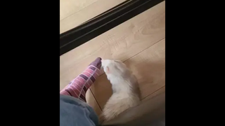 นี่เงินหรือไฟ ทำไมช็อตบ่อยจัง