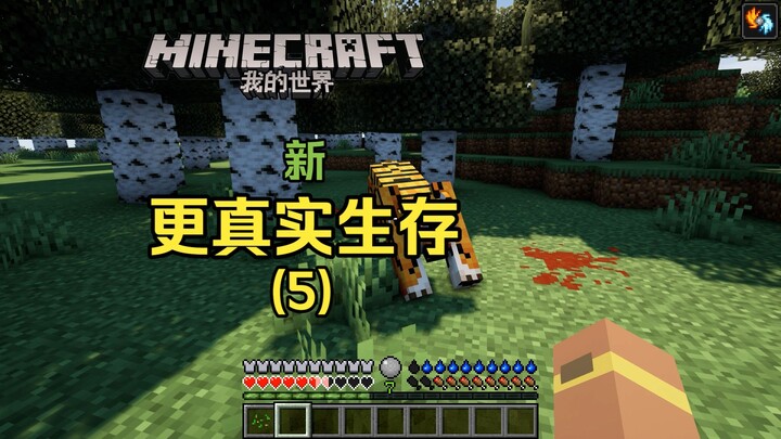 Minecraft New, More Realistic Survival – Episode 5