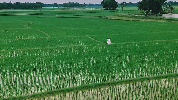 ঘুম থেকে উঠে যে দোয়া পড়বেন।