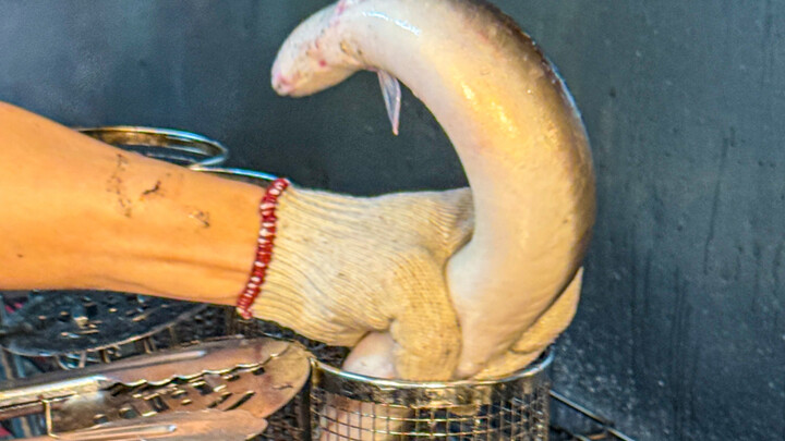 ปลาไหลย่างมันโหดร้ายมากเลยนะ... 😅