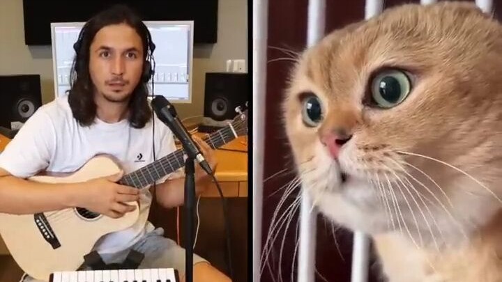 The advanced version is here! I made a song about cats acting cute, and it opens with a thunderous s
