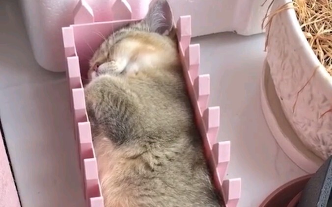 Be flexible, adaptable, round when needed, and square when necessary.