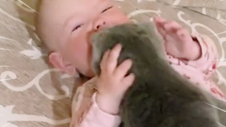 Baby: "You're so cute! I've never seen such a clingy cat!"
