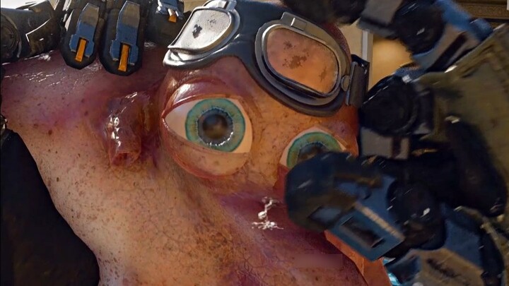 Bạch tuộc nhỏ: Tôi không thắng