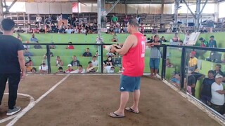 2nd fight