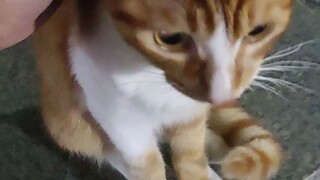 มันหยาบคายมาก!