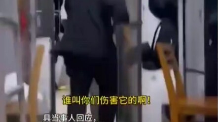 كيرونو تعرضت للتنمر