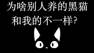 ทำไมแมวดำที่คนอื่นเลี้ยงถึงไม่เหมือนของฉันนะ?