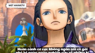 Top 10 Người Thông Minh Nhất One Piece #12 4