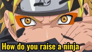 How do you raise a ninja