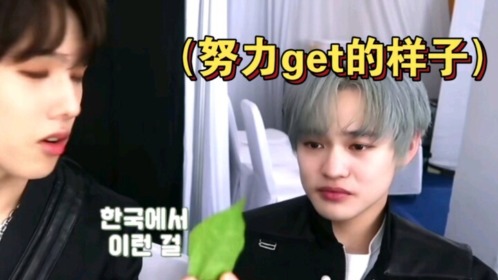 钟辰乐：如果我是女生，不能和朴志晟谈恋爱的原因相信你们明白了