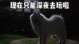 夜深人静，出去玩啦!