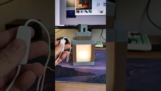 REAL LIFE MINECRAFT LAMP??!