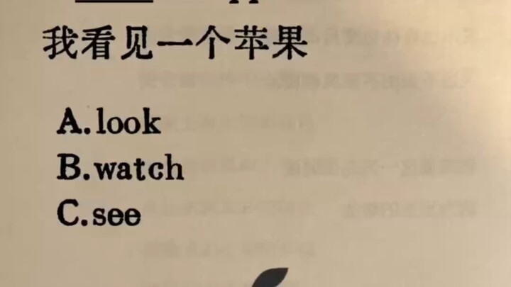 Luyện tập mỗi ngày | “look”, “watch” và “see” phân biệt khó nhằn? Vào ngay để học thôi