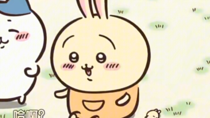 Huh? Huh? Huh? Huh?!