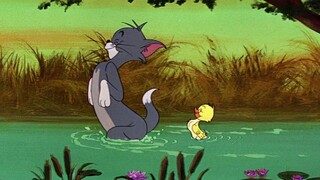 "Xin hãy cho phép anh nói rằng anh thực sự yêu em"