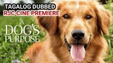 A DOGS PURPOSE TAGALOG DUBBED COURTESY OF RJC CINE PREMIERE