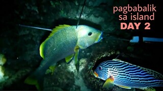 ep167, night spearfishing Philippines, pagbabalik sa island DAY 2.