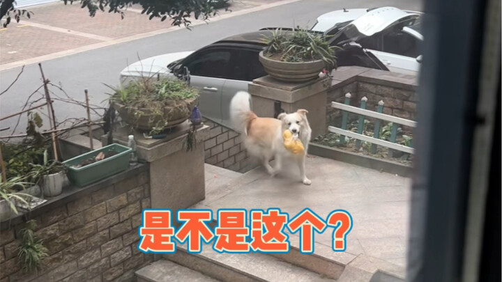 Day 8—Should be able to test negative today!