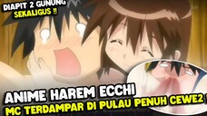 Ketika Lu Terdampar di Pulau Penuh Ciwi2 !! 3 Fakta Menarik Anime Nagasarete Airontaou