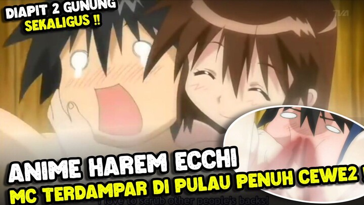 Ketika Lu Terdampar di Pulau Penuh Ciwi2 !! 3 Fakta Menarik Anime Nagasarete Airontaou