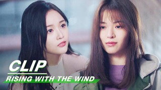 Zhaoyang Wants to Resign| Rising With the Wind EP27 | 我要逆风去 | iQIYI