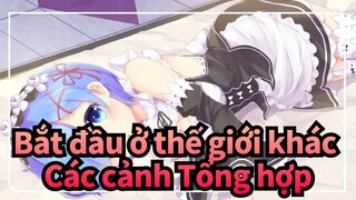 [Bắt đầu ở thế giới khác] Các cảnh Tổng hợp_3