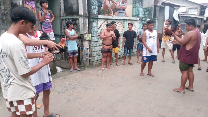 bantam double blade vs Texas kaliwa tari