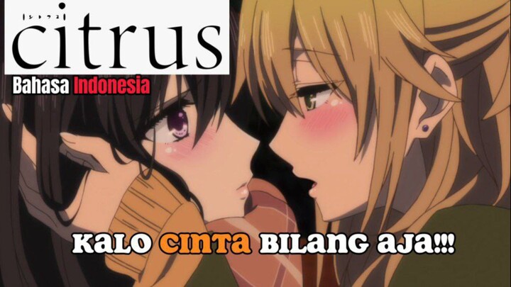 [GL]KALO CINTA BILANG AJA!! || Citrus 🍊