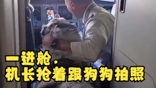 太有爱了，宠物航班的飞行员因为玩我的狗狗，所以导致飞机延误了