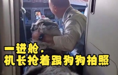 So heartwarming! The pilot of the pet flight delayed the plane because he was playing with my dog.