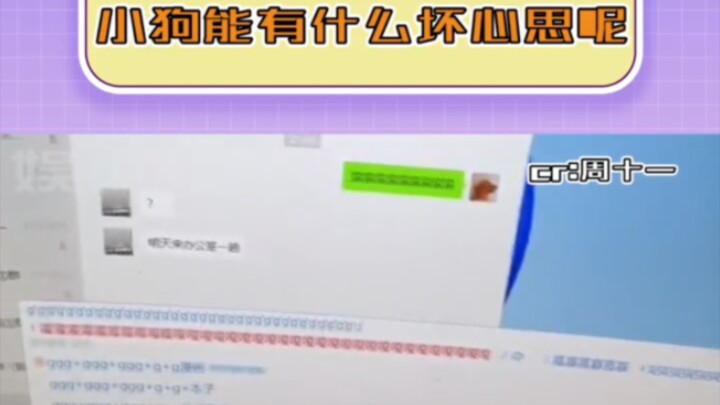 What bad intentions could a little dog possibly have?!! #puppy #badintentions #real