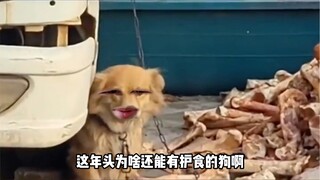 吃不完，根本就吃不完