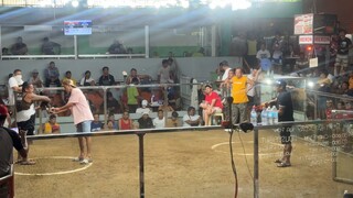 2nd Win Champion San Vicente Arena Sjdm Bulacan. fast kill ulit using our PURE SBR BROODSTAG