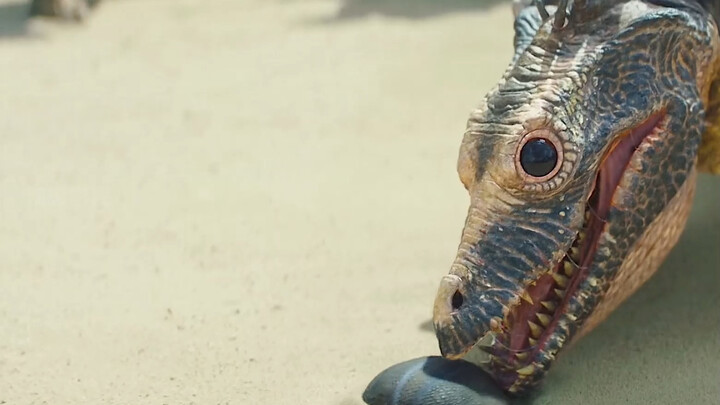 A man was swallowed into the belly of a monster. He punched his way through the monster's stomach, t