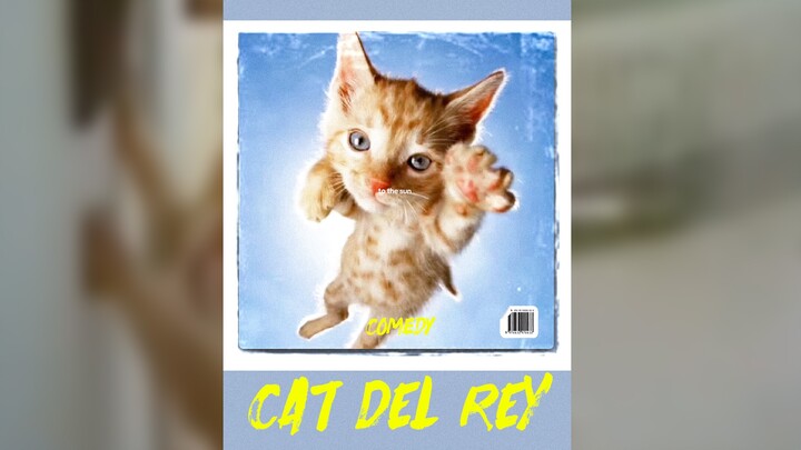 Leaked MV for Sister Dali’s Cat Version 🤣