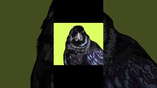 KARASU DRAWING #shorts